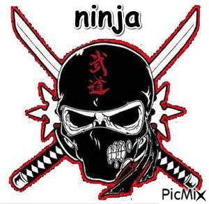 le ninja de la mort - bezmaksas png