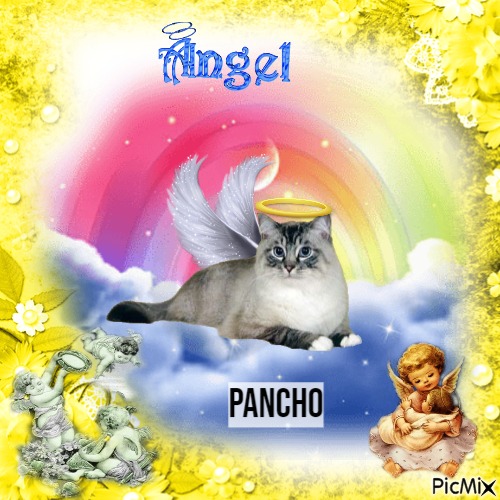 Pancho - bezmaksas png