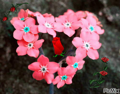 Flower - GIF animado grátis