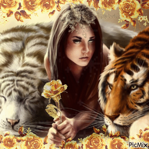 Woman and tiger - GIF animado grátis