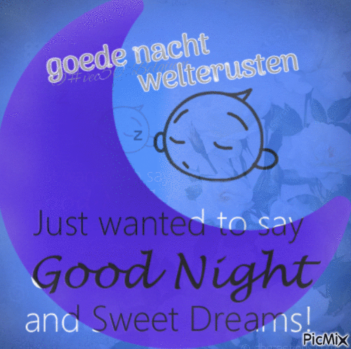 gn goodnight  good night   goede nacht - GIF animado grátis