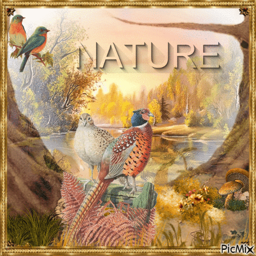 Nature - Gratis animeret GIF