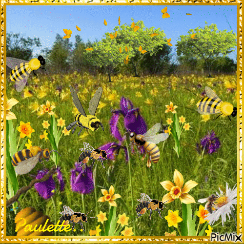 fleurs et abeilles - GIF animé gratuit