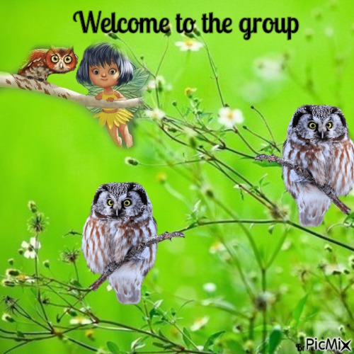 welcome owl - zdarma png