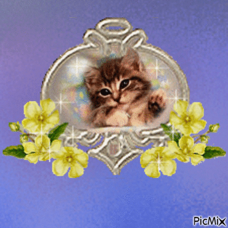 Kitten - Besplatni animirani GIF