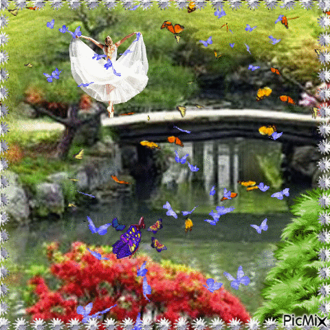Des vols de papillons - Zdarma animovaný GIF