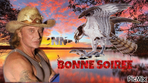 BONNE SOIREE - GIF animate gratis