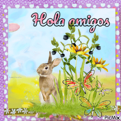 Hola amigos conejo - Free animated GIF