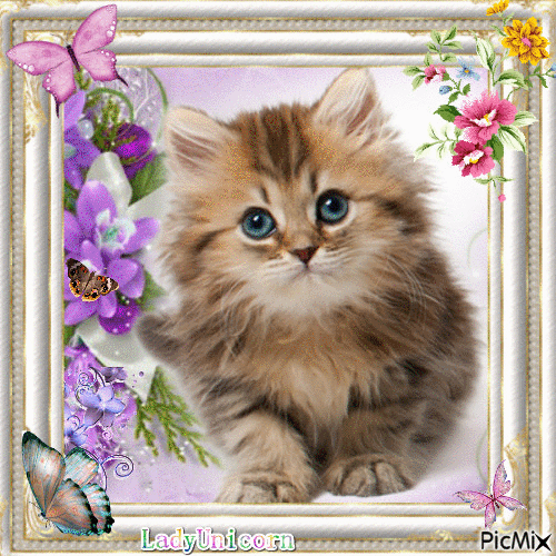 Cute little kitten - GIF animado gratis