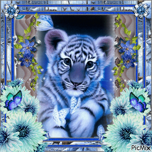 Tigerbaby beweglich - Gratis animeret GIF
