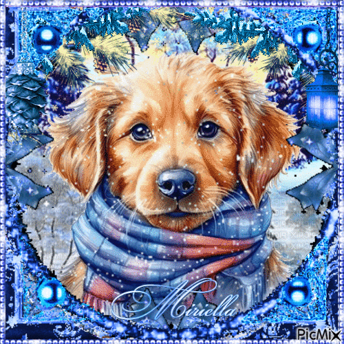 Dog in  de  Winter in  blue - Kostenlose animierte GIFs