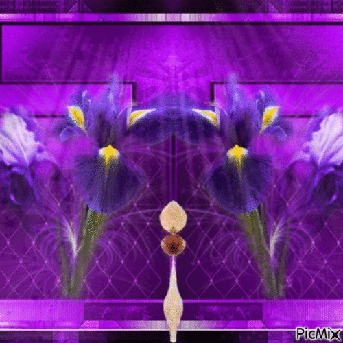 Bg lilac orchild - Darmowy animowany GIF