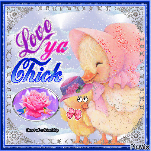chick - GIF animé gratuit
