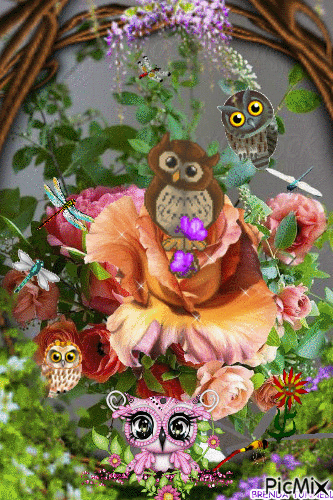 OWL - Darmowy animowany GIF