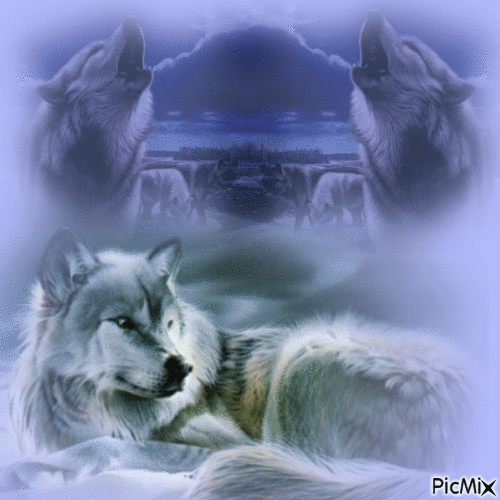 Wolf Spirit - GIF animado grátis