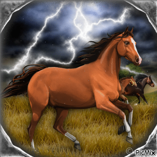 Horse and Lightning-RM - GIF animé gratuit
