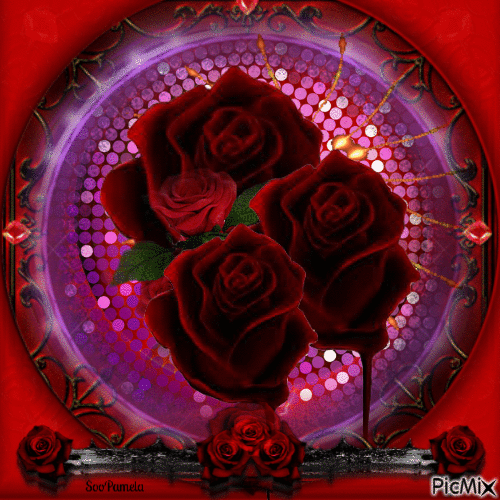 Red Rose in a Red Frame - Free animated GIF