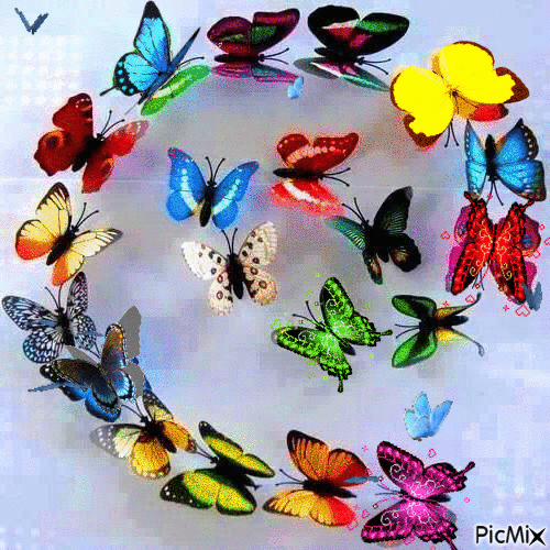 borboletas - GIF animado grátis