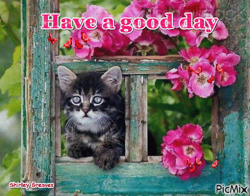 Have a good day - Free animated GIF - PicMix