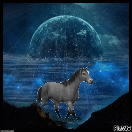 Pferd im Mondschein - GIF animé gratuit