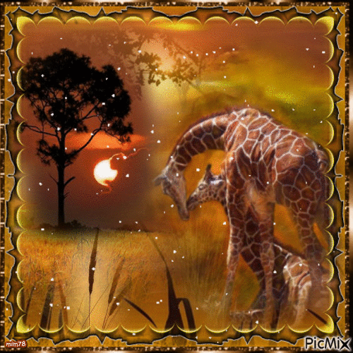 girafes - Бесплатный анимированный гифка