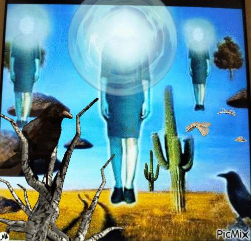 El secreto de los cuervos - Free animated GIF