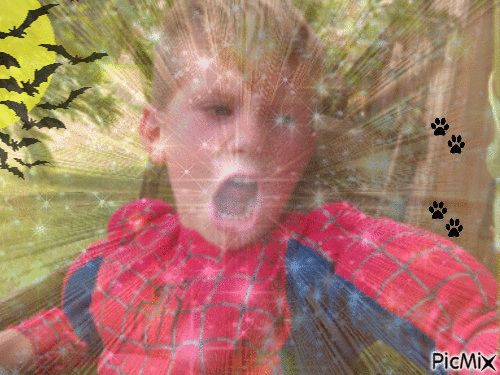 spider boy - Ilmainen animoitu GIF