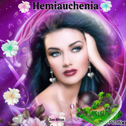Hemiauchenia - Free animated GIF