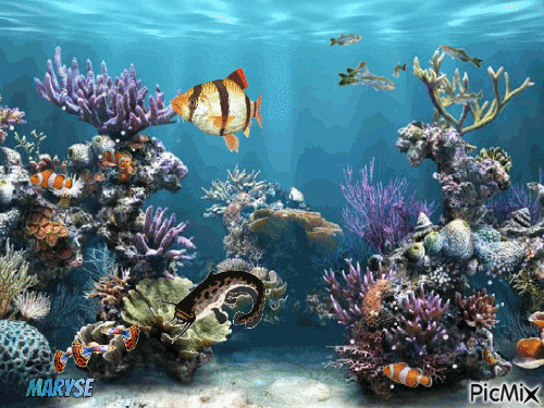 mer - Darmowy animowany GIF
