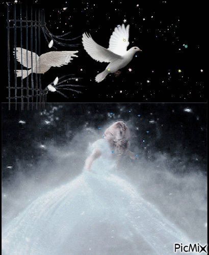 princesse colombe - GIF เคลื่อนไหวฟรี