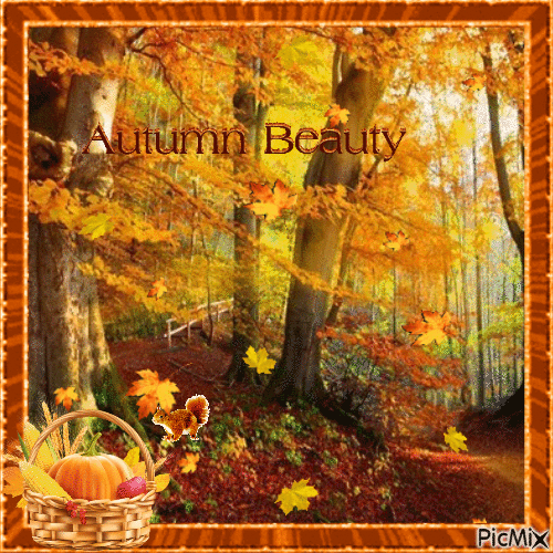 Autumn Beauty - Free animated GIF - PicMix