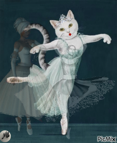 Bailarina para el gato jardinero de Argentana - Besplatni animirani GIF