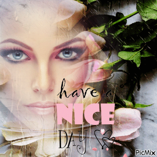 HAVE A NICE DAY! - Free animated GIF