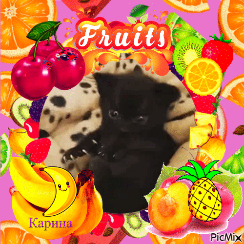 Chat noir et fruits - Ilmainen animoitu GIF