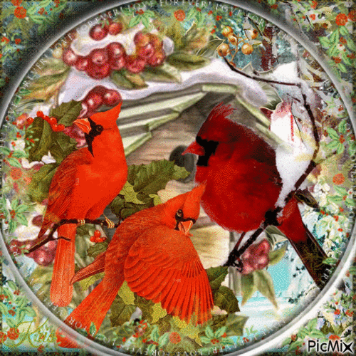 Oiseau d'automne ou d'hiver🎅⛄🎄❤️ - Darmowy animowany GIF