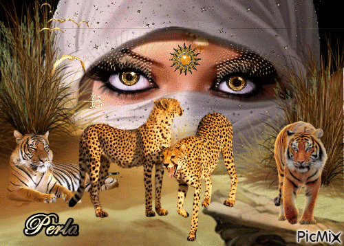 Leopard/Tiqre - GIF animé gratuit
