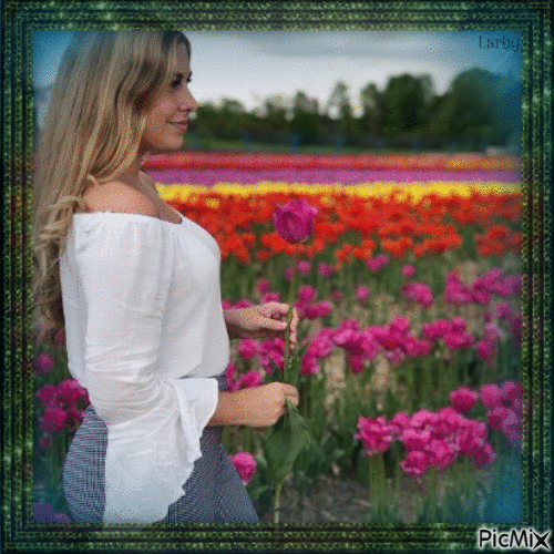 Dans un champ de tulipes !!!!! - GIF animé gratuit