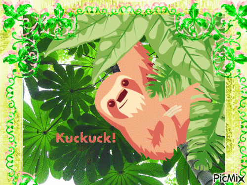 Sloth say Hello - Darmowy animowany GIF