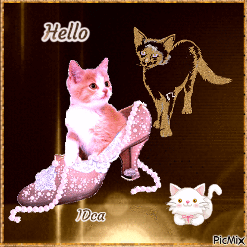 Hello les chatons - Free animated GIF