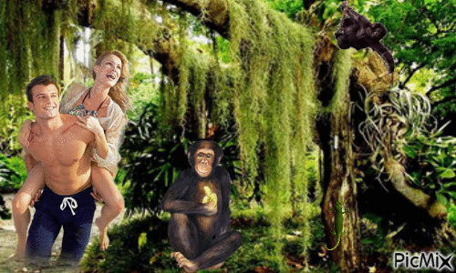 promenade avec les singes - Darmowy animowany GIF