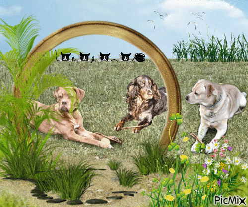 paysage avec trois chiens - GIF animado gratis