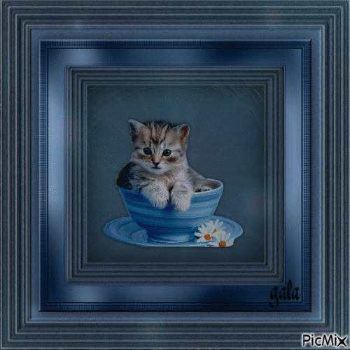Котенце - Besplatni animirani GIF