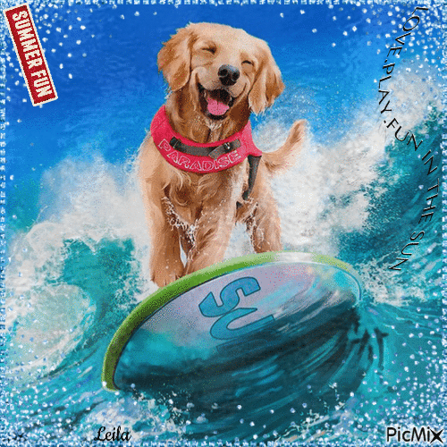 Summer Fun. Dog on water board - GIF animé gratuit