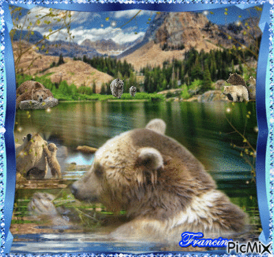 Les ours ♥♥♥ - Gratis geanimeerde GIF