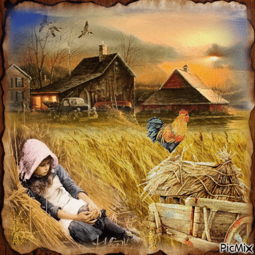 wheat field - Animovaný GIF zadarmo