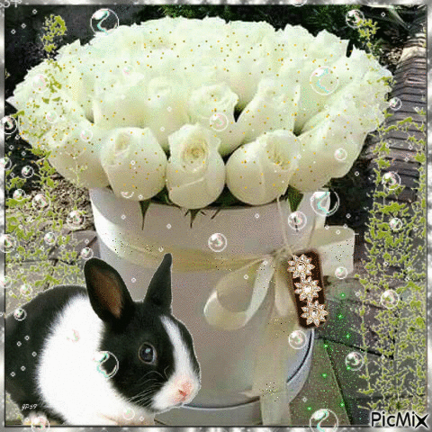 white roses and rabbit - GIF animasi gratis
