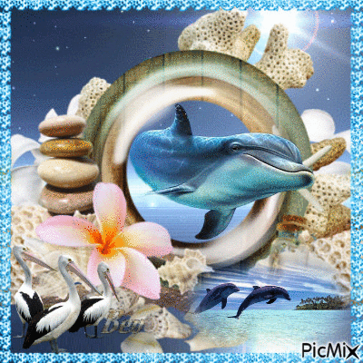 Dolphins - Gratis animeret GIF
