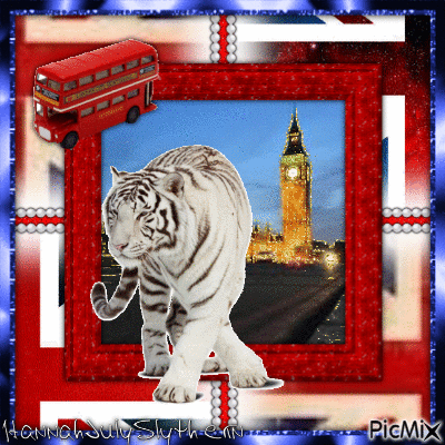 {White Tiger sighted in London} - Gratis geanimeerde GIF