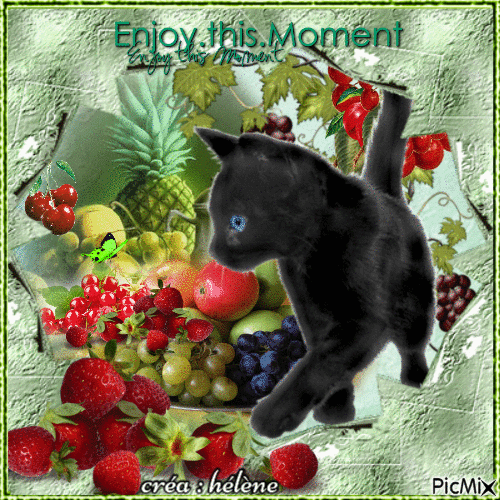 Chat noir et fruits - Free animated GIF