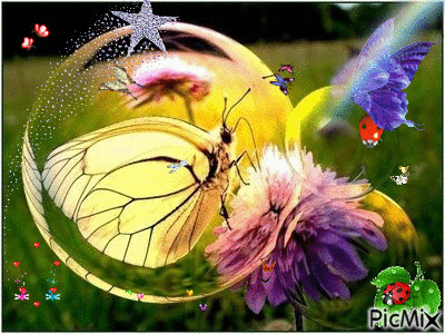 au pays des papillons - GIF animasi gratis